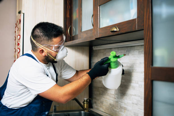 Best Cockroach Control Services  in Ogden, KS
