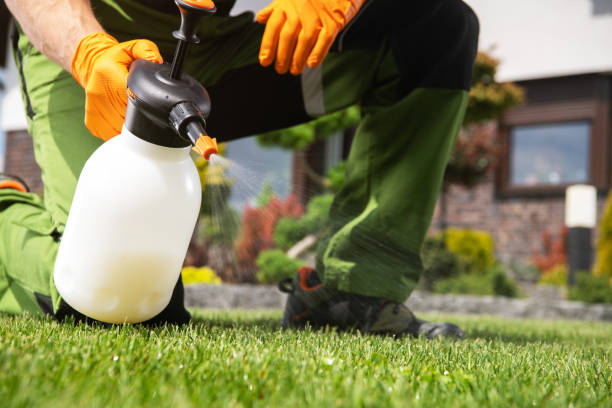 Best Pest Removal Services  in Ogden, KS