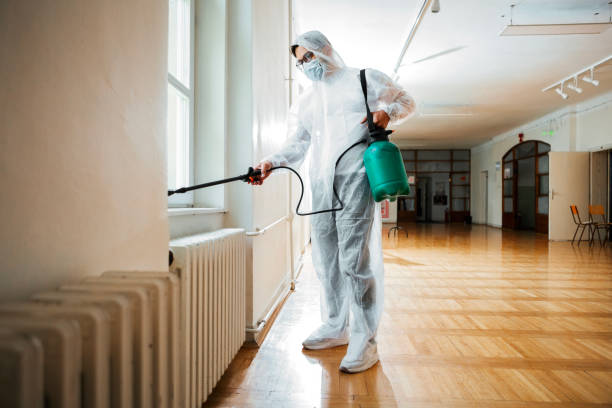 Best Exterminator Services  in Ogden, KS