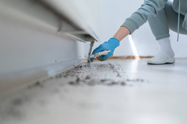 Best Exterminator Services  in Ogden, KS