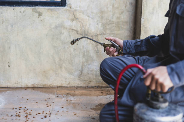 Best Residential Pest Control  in Ogden, KS